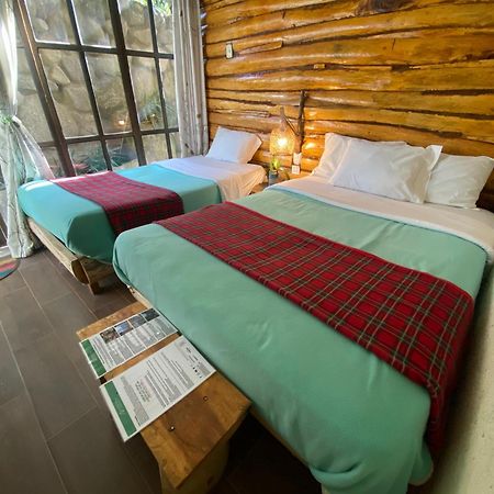 Eco Quechua Lodge Santa Teresa  Dış mekan fotoğraf