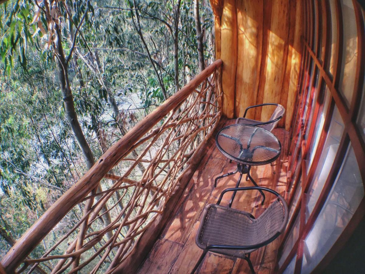 Eco Quechua Lodge Santa Teresa  Dış mekan fotoğraf