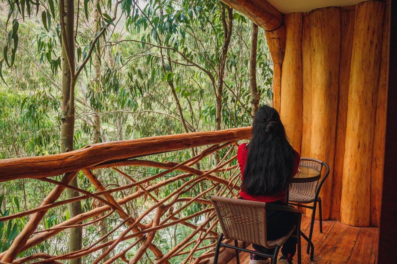Eco Quechua Lodge Santa Teresa  Dış mekan fotoğraf