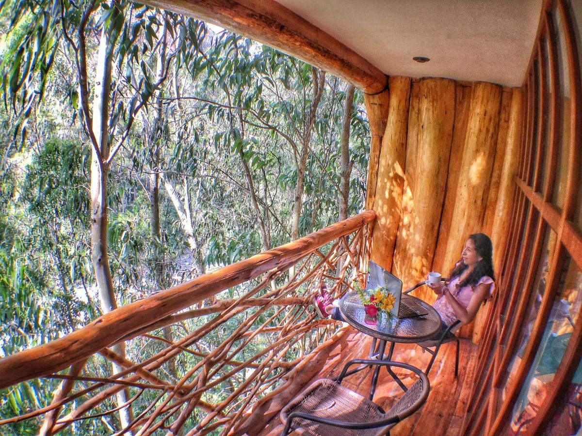 Eco Quechua Lodge Santa Teresa  Dış mekan fotoğraf