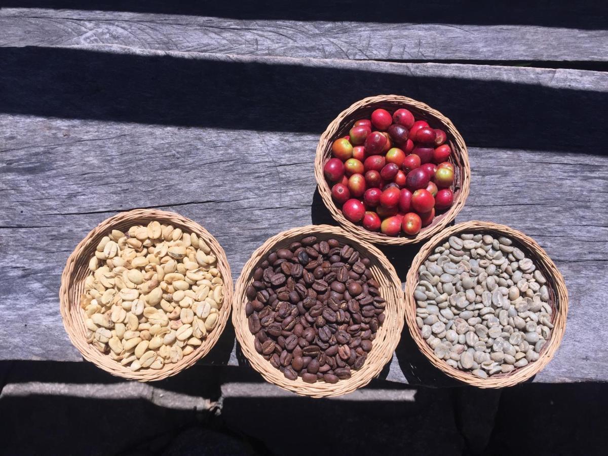 Eco Quechua Lodge Santa Teresa  Dış mekan fotoğraf